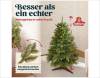 Der-Weihnachtsbaum-Tradition,-Auswahl-und-festliche-Dekoration-für-Ihr-Zuhause-2